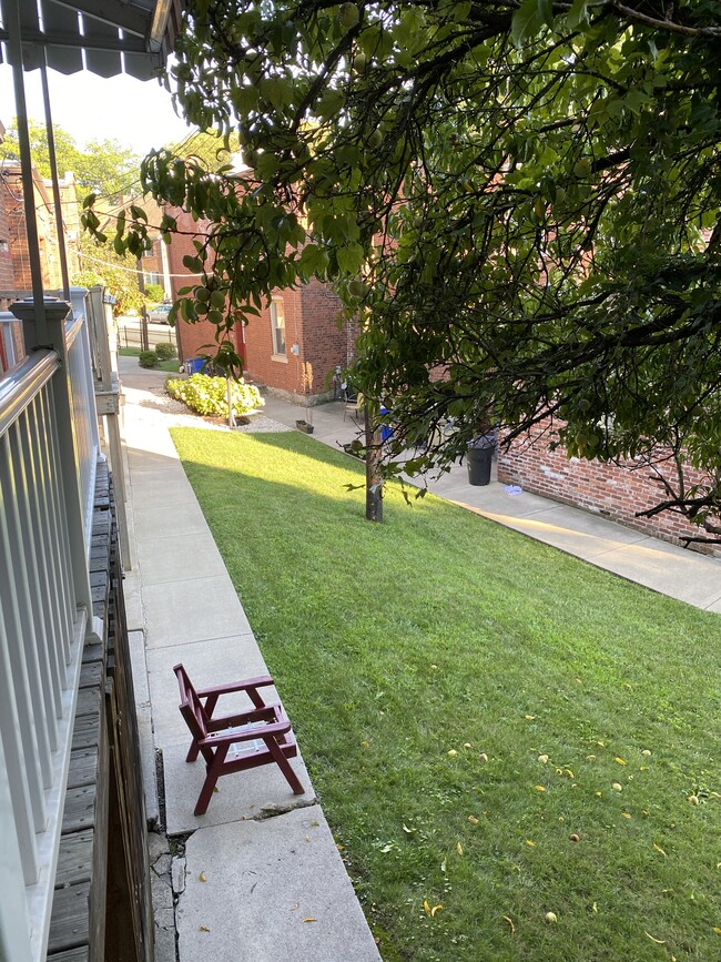 back yard area to beeler st - 5436 Wilkins Ave