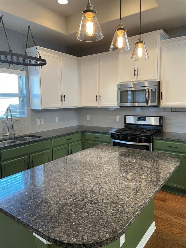 Building Photo - 1401 Little Elm Trail