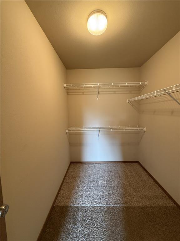 Building Photo - 213 Foxglove St
