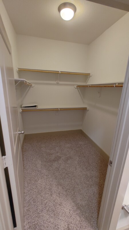 Building Photo - 1520 Fannin St