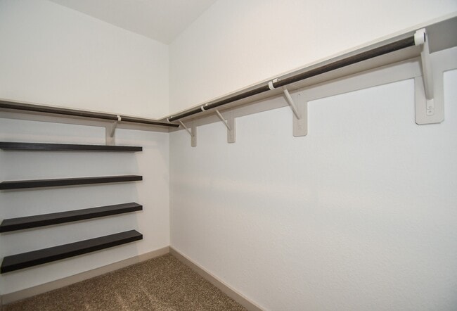 Building Photo - 8034 House bank Ln