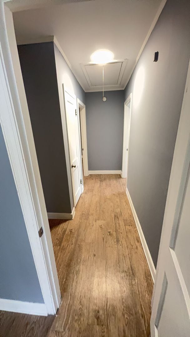 Building Photo - Very Nice Newly Rehabbed Duplex in Berclair
