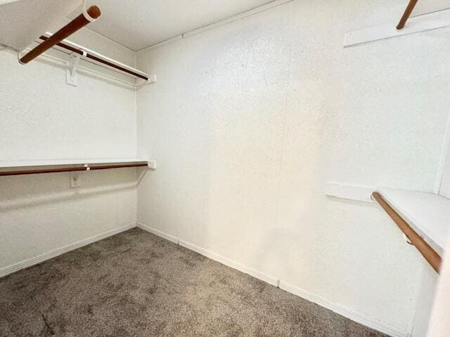 Building Photo - 1034 Rocky Bayou Dr