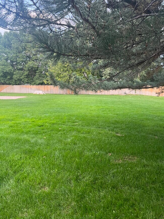 View from the front porch - 22 Amesbury St