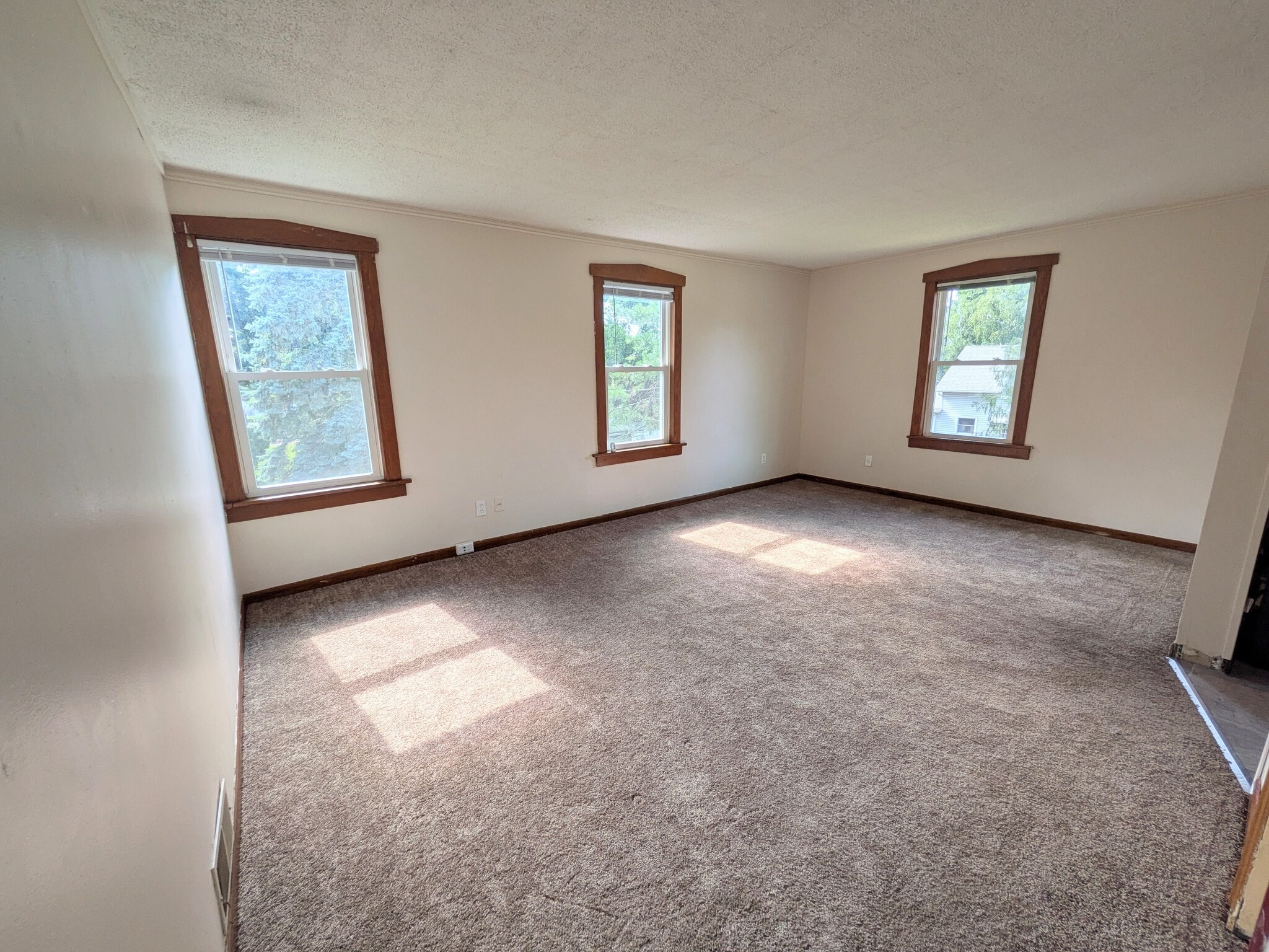 Living Room - 118 Harding Ave