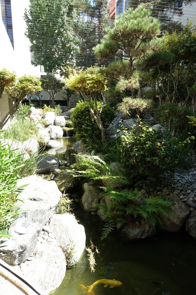 community garden - 222 S Central Ave