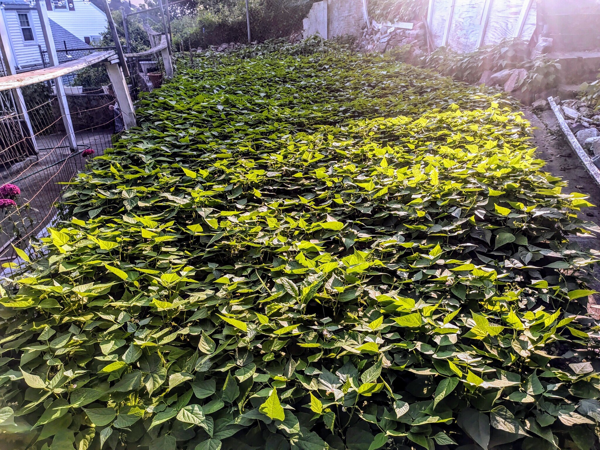 Building Photo - 63 Fenno St