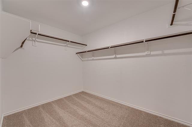 Building Photo - 212 HappyWell Ln