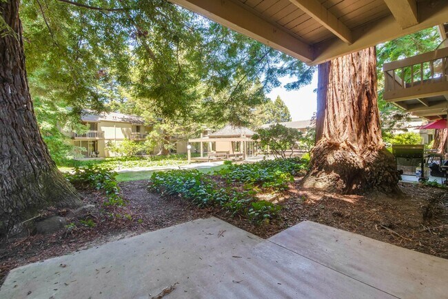 Building Photo - Beautiful 2BR 2BA downstairs condo in Moun...