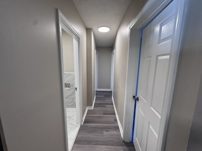 Building Photo - 1230 Vim Dr