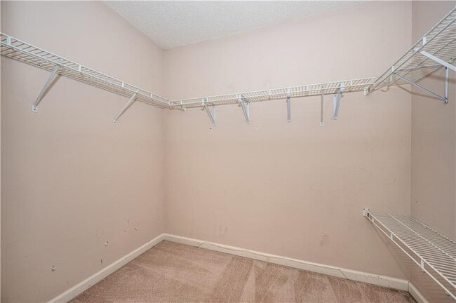 Building Photo - 105 Celia Ct