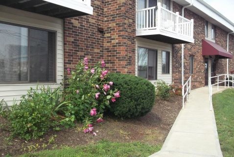 Building Photo - Seton Square East