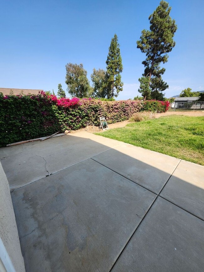 Building Photo - Big backyard with lots of upgrades