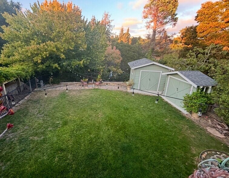 shared yard and storage sheds - 4460 Stanford Ave