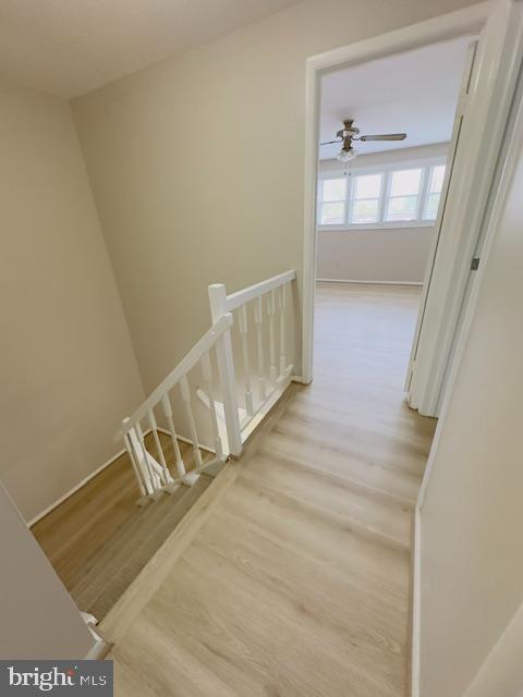 Building Photo - 3442 Belfry Ln
