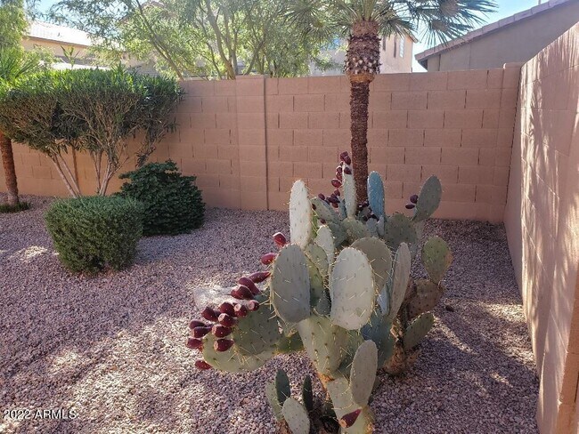 Building Photo - 46059 W Barbara Ln