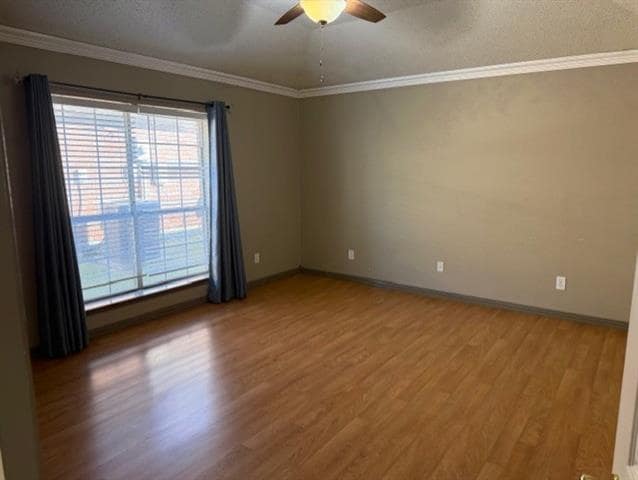 Building Photo - 8112 Burleigh St