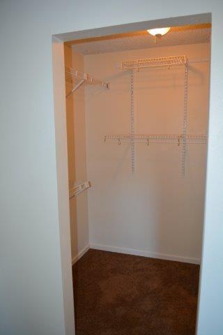Building Photo - Myrtletown! Spacious 4 bedroom, pet friendly