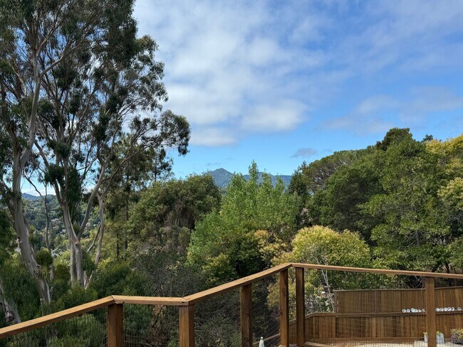 Building Photo - SPACIOUS  FOUR BED / THREE BATH SAN RAFAEL...