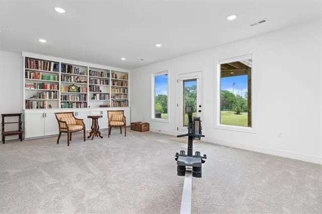 Lower level family room with walkout - 7345 Griffey St
