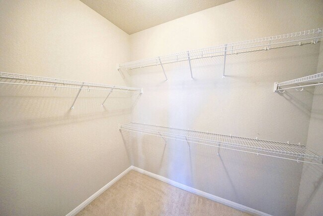 Building Photo - Beautiful Rental in Converse! Realtor Comm...