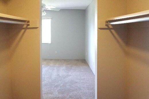 Building Photo - 5110 Williams Fork Trl