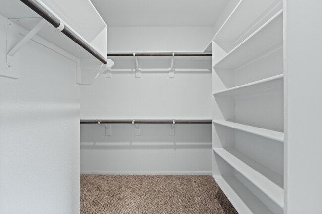 Building Photo - 8014 Timber Holw Ln