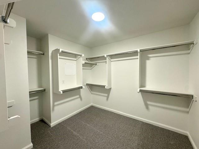 Building Photo - 3121 Mt Nebo Dr