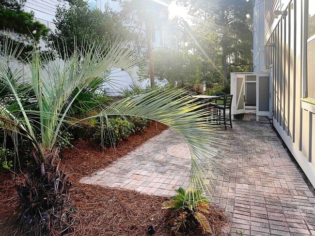 Building Photo - 50% off first months rent.  Remodeled 5 bedroom house with bikes – walking distance to the beach