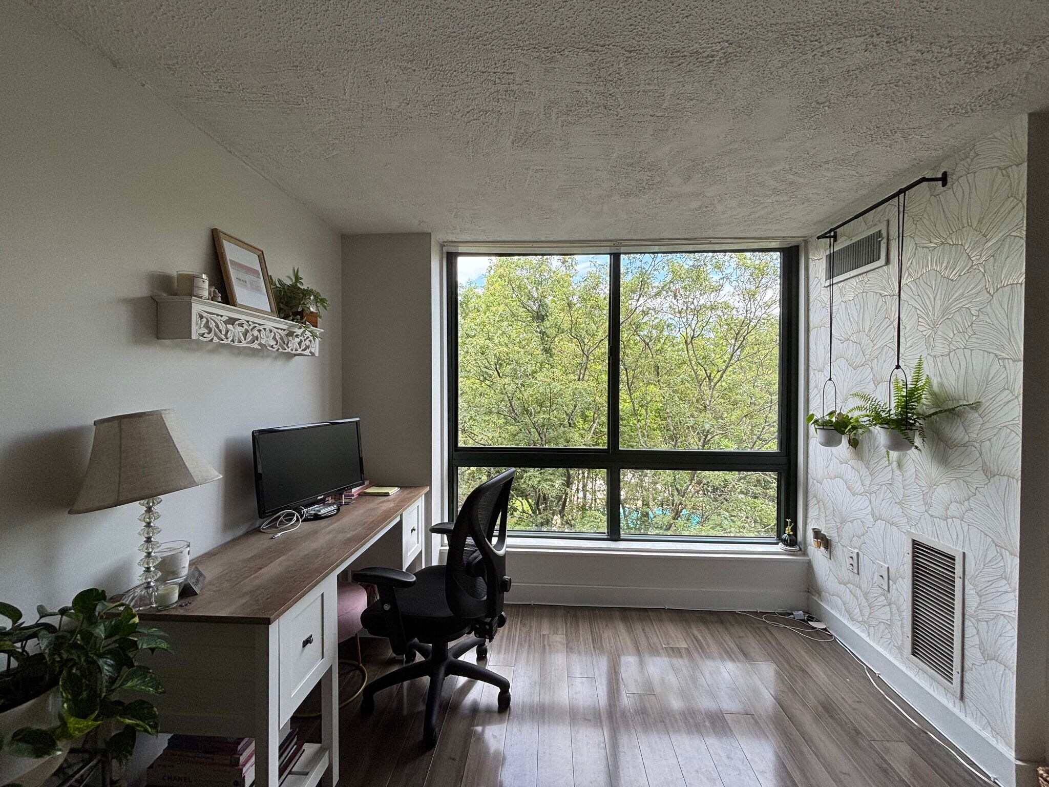 Oversized Windows - 42 8th St