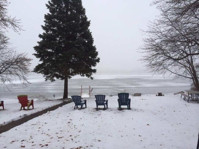 Even more beautiful in the winter time - 34175 N Hainesville Rd