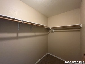 Building Photo - 8223 Maple Meadow Dr