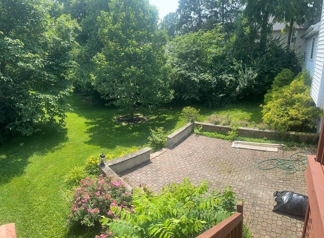 Building Photo - Spacious Home in Ladue Schools
