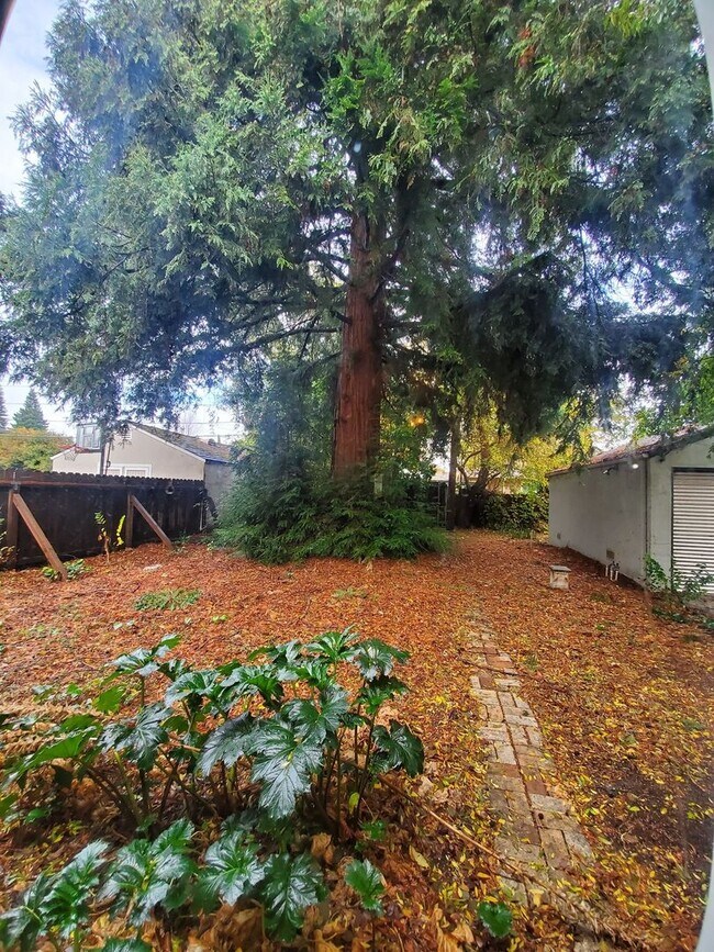 Building Photo - 1241 Perkins Way