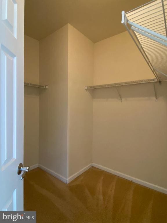 Building Photo - 11648 Leesborough Cir