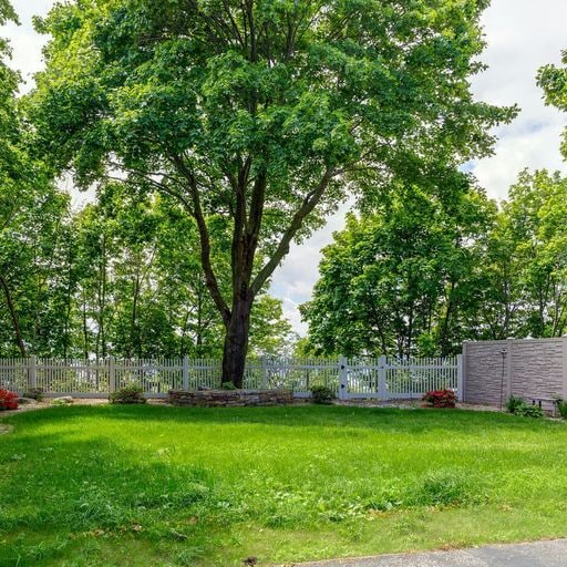 Back Yard - 96 North St