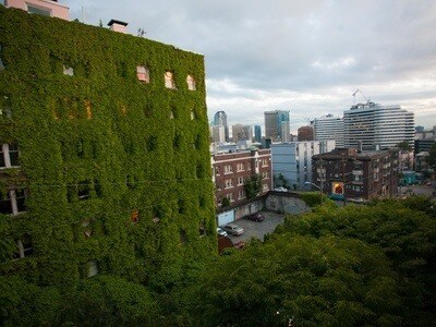 South window view - 506 E Howell St