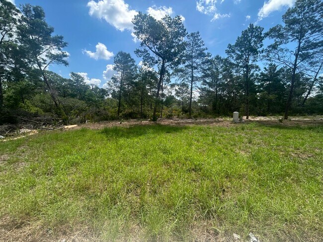 Building Photo - Brand-New Modern 2BR/2BA Home with Garage – Desirable Lake Placid Location