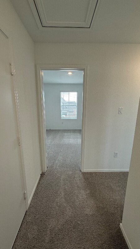 Building Photo - 349 Keefer