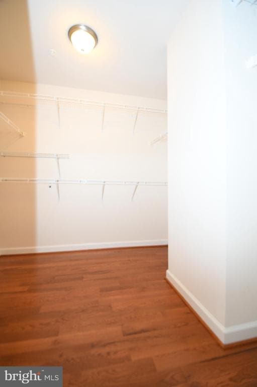 Building Photo - 14823 Wootton Manor Ct