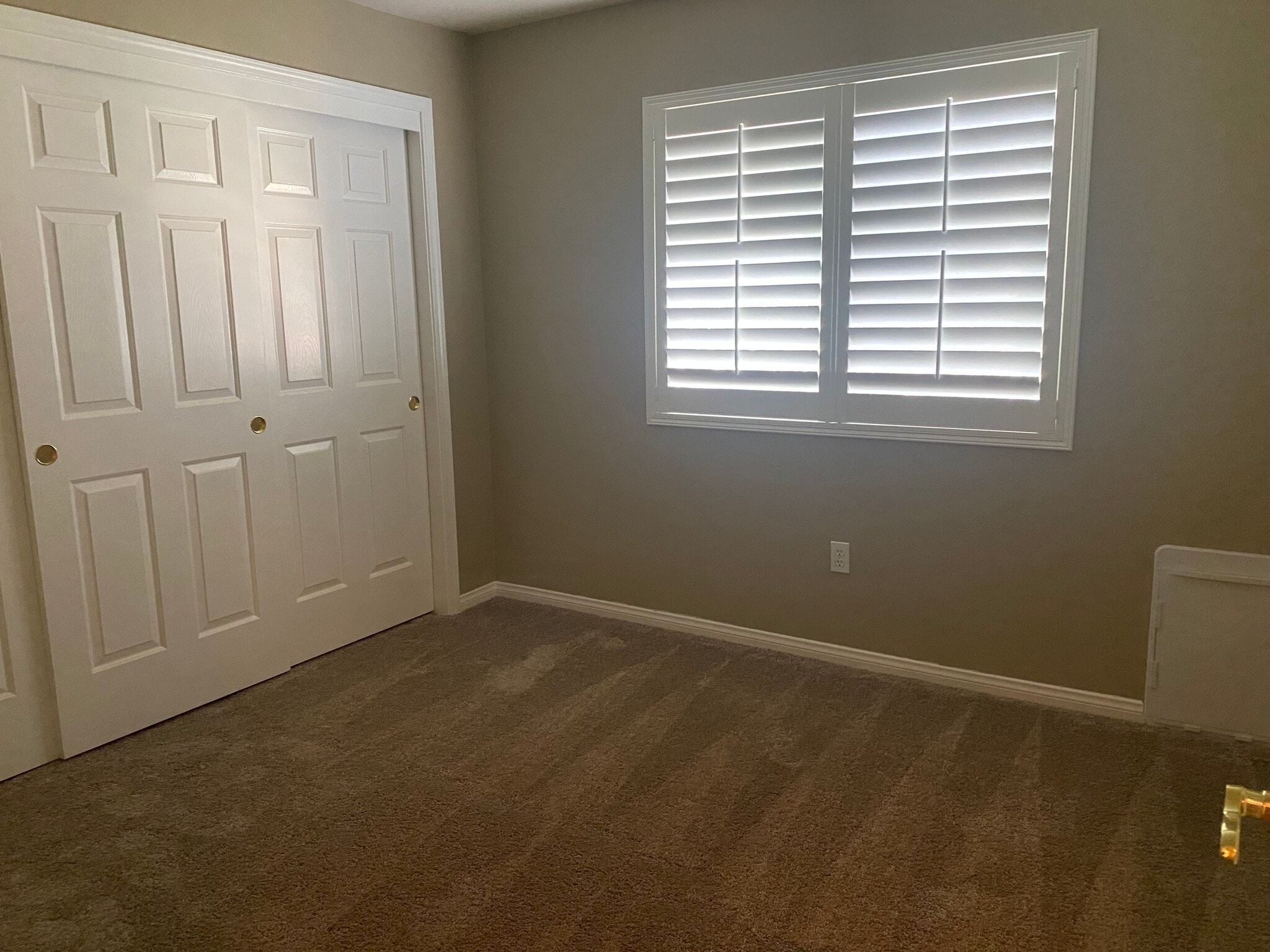 Building Photo - 1507 Frish Moss Ct