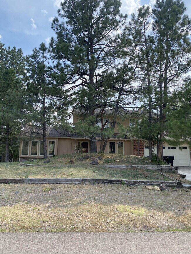 Building Photo - "Spacious 4-Bedroom Haven with 4 Full Baths in Charming Parker, CO - 2,952 Sq. Ft. of Comfort Awa...