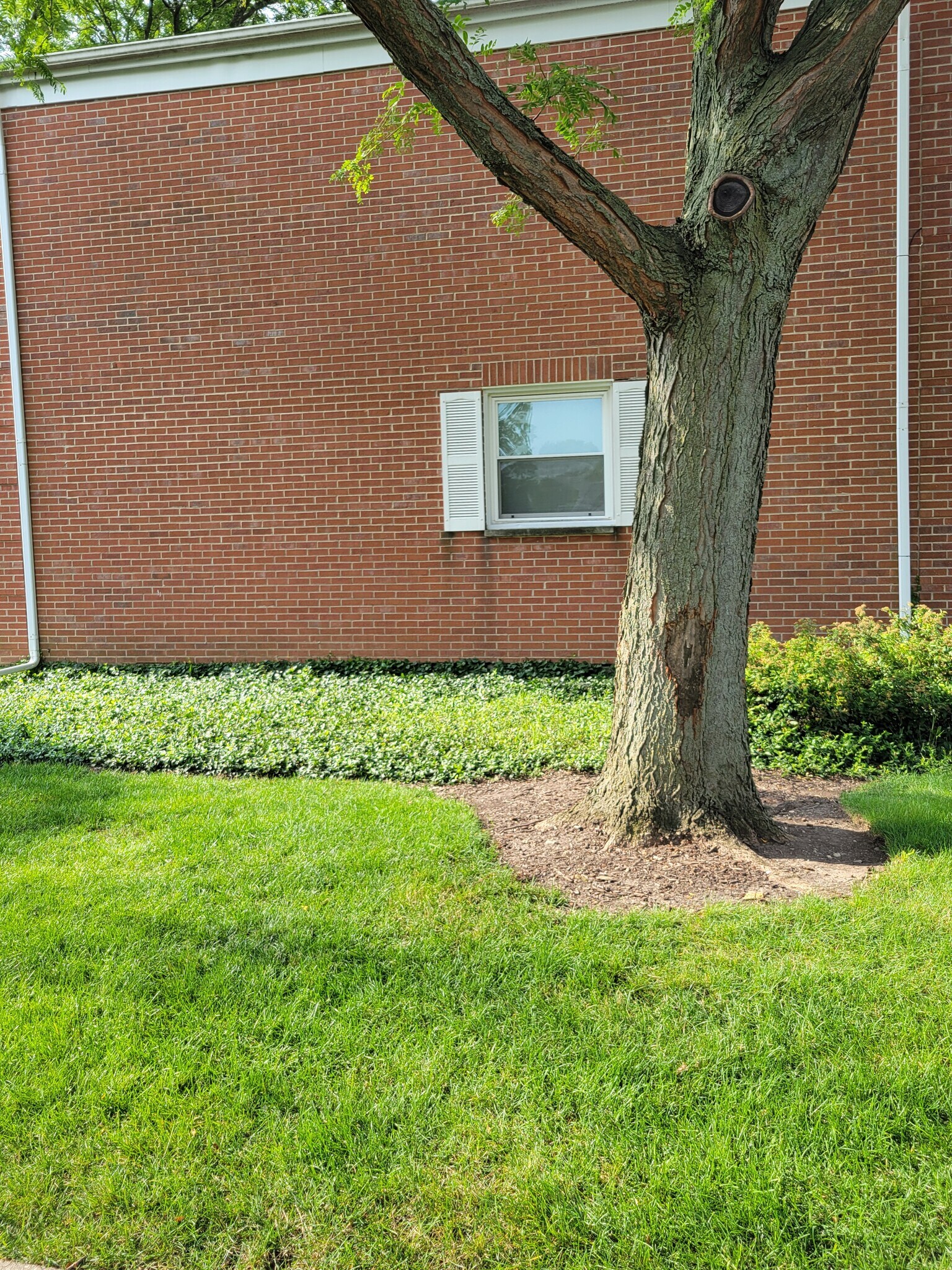 Building Photo - 2116 Rugen Rd