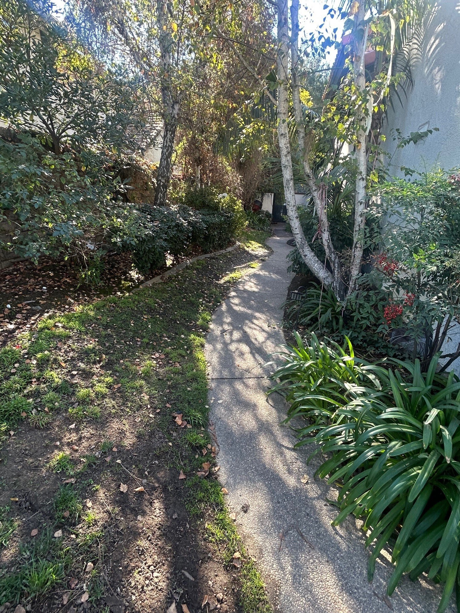 Building Photo - 3098 Dragonfly St