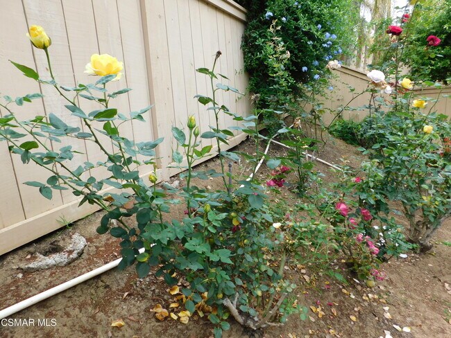 Building Photo - 4887 Santo Dr