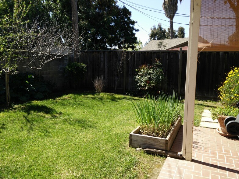 Back Yard - 540 Monica Ln