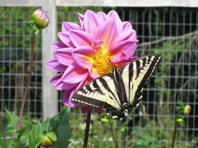 Building Photo - Come live in this quiet corner of Harstine Island!