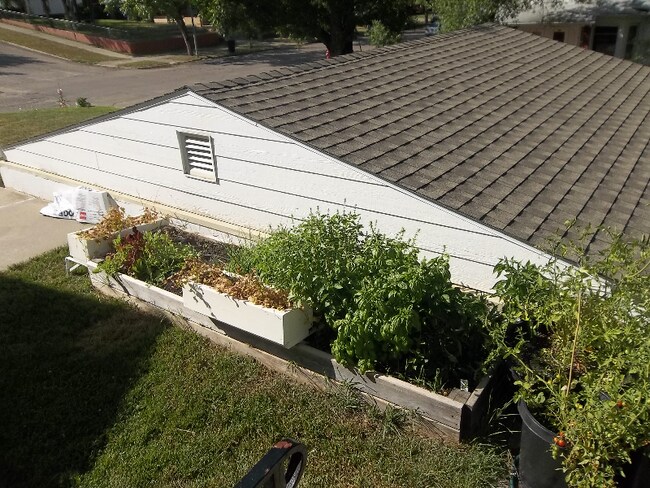 Building Photo - 212 7th St