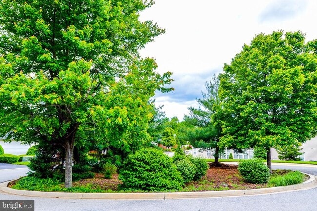 Building Photo - 2007 Connor Ct