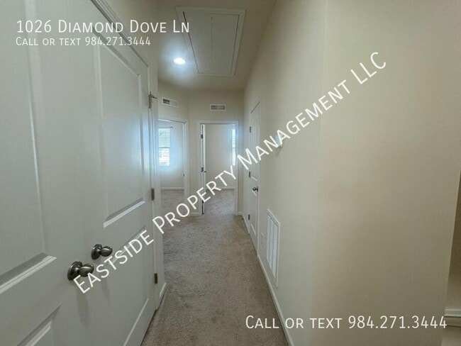 Building Photo - 1026 Diamond Dove Ln